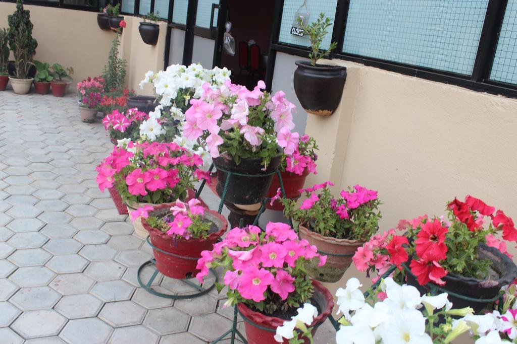 Dipankara Holiday Home Катманду Экстерьер фото