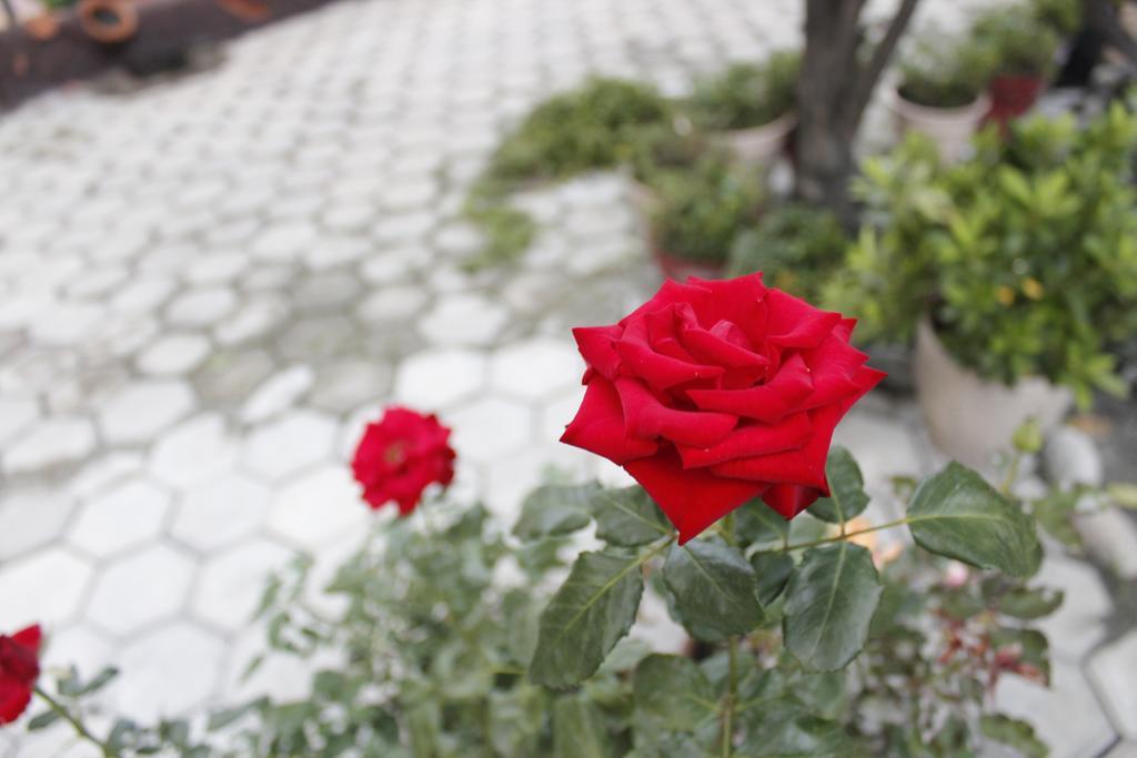 Dipankara Holiday Home Катманду Экстерьер фото